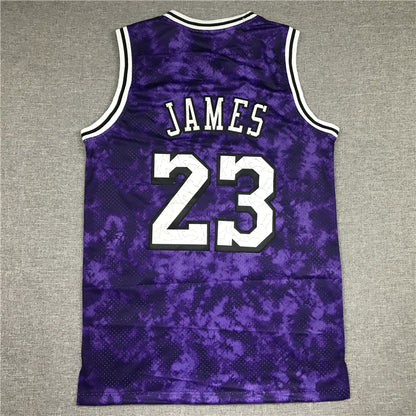 Men's Los Angeles Lakers LeBron James #23 Purple Galaxy Swingman Jersey1