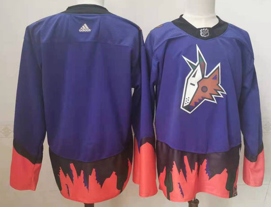 Men's Arizona Coyotes Blue Blank Player Jersey1