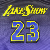 Men's Los Angeles Lakers LeBron James #23 Purple 2024/25 Swingman Jersey1 - City Edition