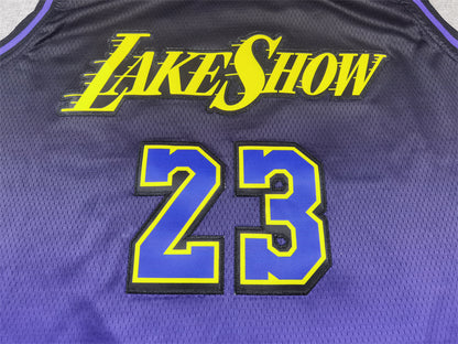 Men's Los Angeles Lakers LeBron James #23 Purple 2024/25 Swingman Jersey1 - City Edition