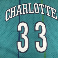 Men's Charlotte Hornets Alonzo Mourning Hardwood Classics Swingman Player jersey1