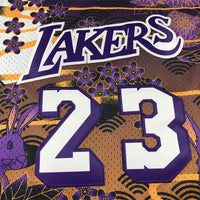 Men's Los Angeles Lakers LeBron James #23 Year of Rabbit Edition Hardwood Classics Swingman Jersey1