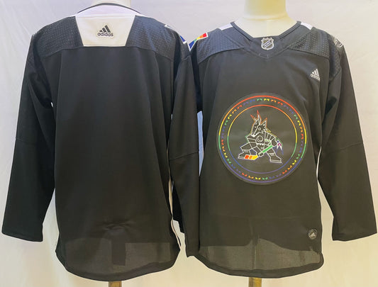 Men's Arizona Coyotes Black Blank Player Jersey1