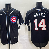 Men's Chicago Cubs Ernie Banks #14 Fashion Replica Black Out Jersey