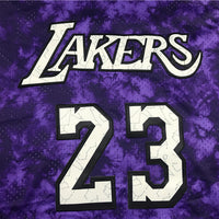Men's Los Angeles Lakers LeBron James #23 Purple Galaxy Swingman Jersey1