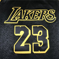 Men's Los Angeles Lakers Lebron James #23 Final Path Jersey1 Stitched