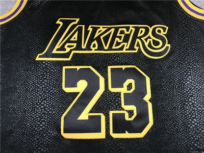 Men's Los Angeles Lakers Lebron James #23 Final Path Jersey1 Stitched