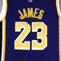 Men's Los Angeles Lakers LeBron James #23 NBA Purple Swingman Jersey1