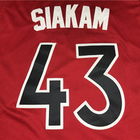 Men's Toronto Raptors Pascal Siakam Red 2021/22 Diamond Swingman Jersey1