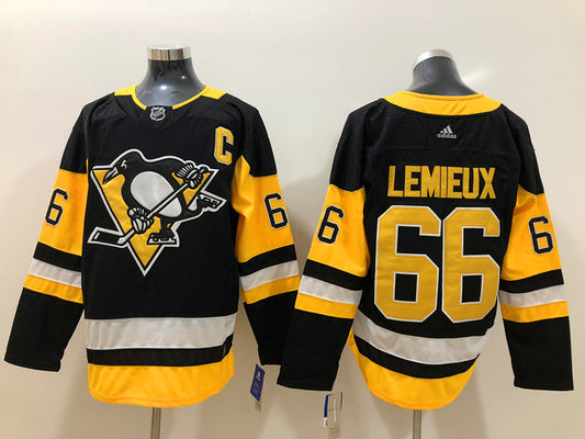 Men's Pittsburgh Penguins Mario Lemieux #66 Black Player Game Jersey1