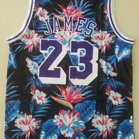 Men's LeBron James Los Angeles Lakers #23 NBA Classics Authentic Jersey1